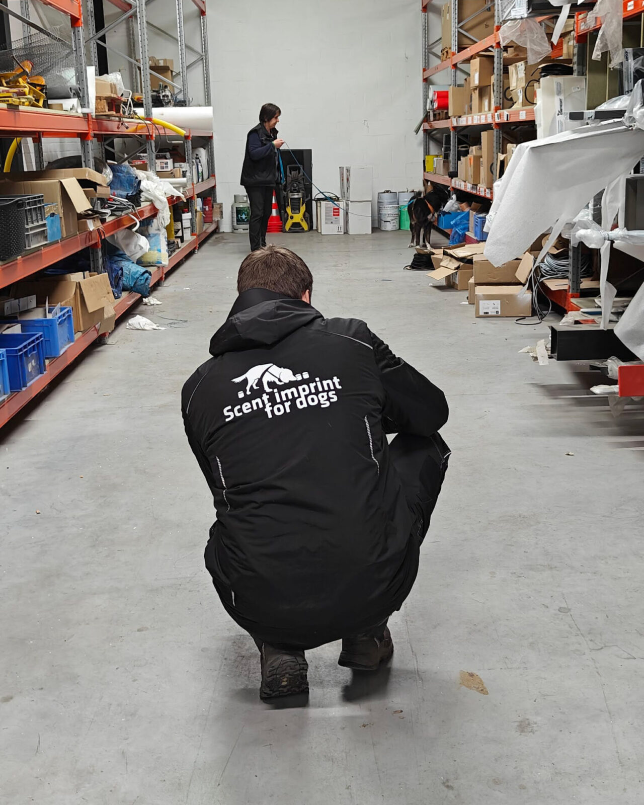 honden uitdagen tijdens workshop detectie